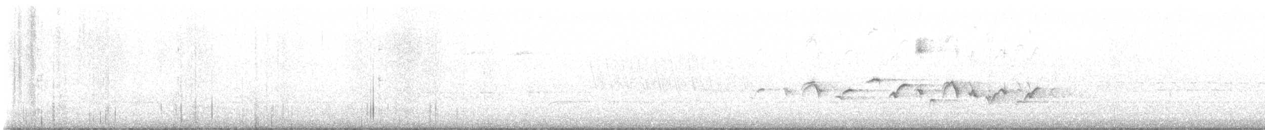 House Finch - ML637822387