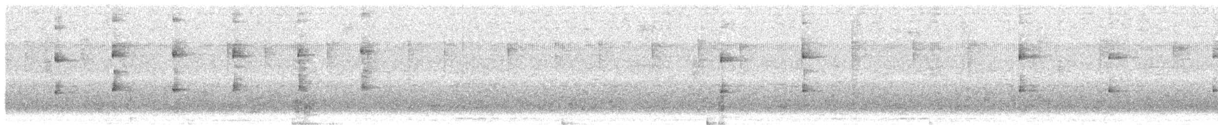 Mottle-cheeked Tyrannulet - ML637822491