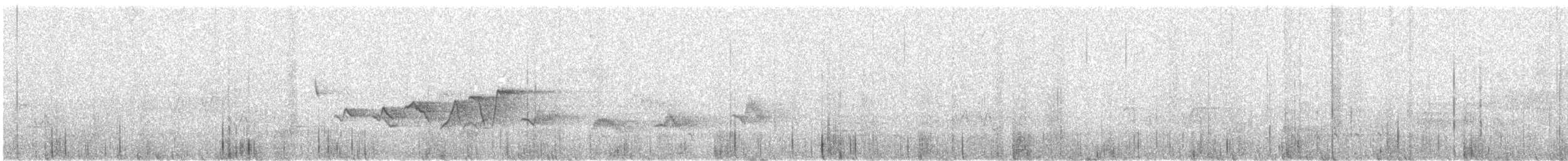 hetteparula - ML637822513