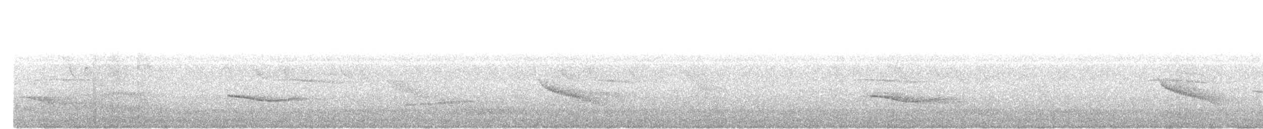 Streaked Wren-Babbler - ML637822553