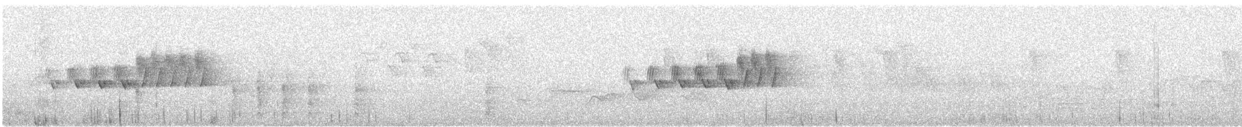 asurparula - ML637822670