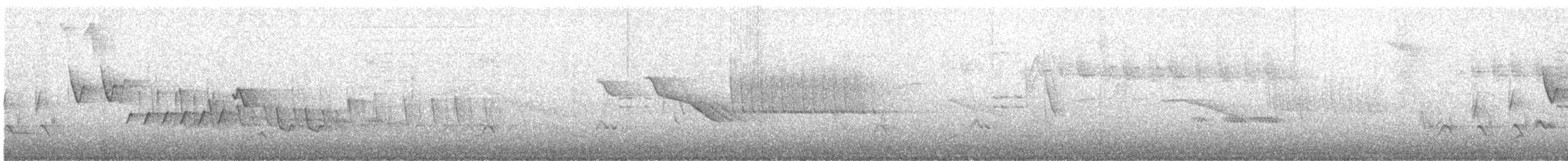 Southern House Wren - ML637824204