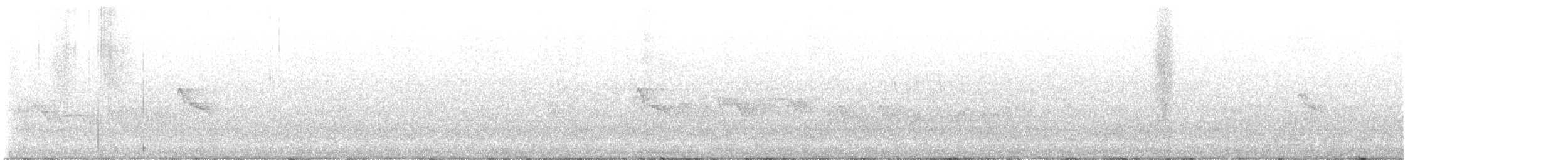 Black Phoebe (Northern) - ML637824246