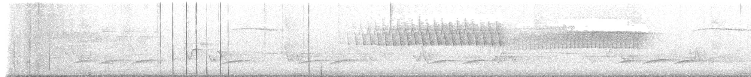 Worm-eating Warbler - ML637824278