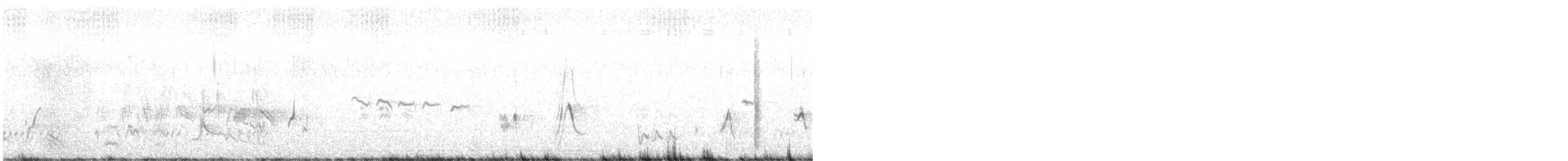 Toxostoma sp. - ML637827044
