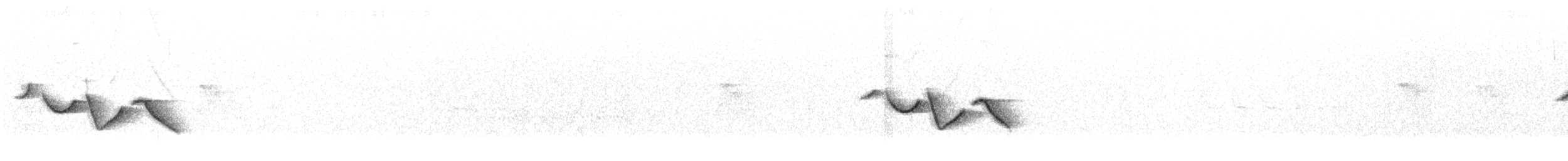 Gailupa karmina - ML637827063