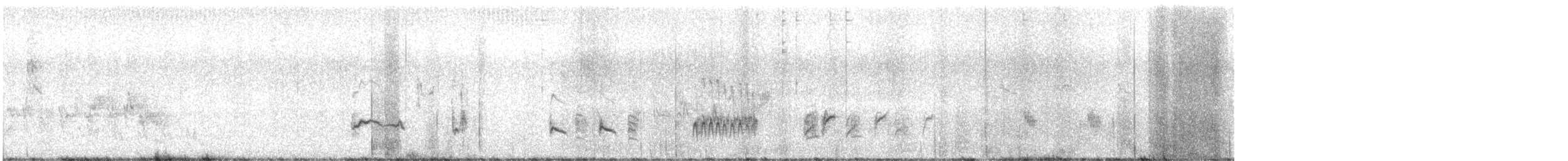 Toxostoma sp. - ML637827069