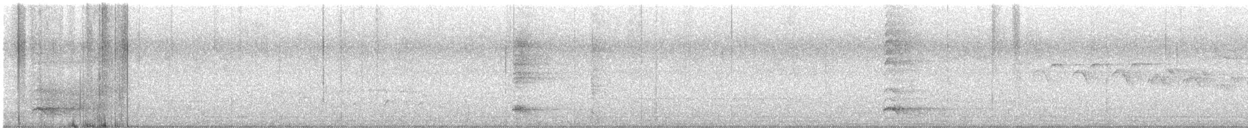 Yellow-crowned Night Heron - ML637829088
