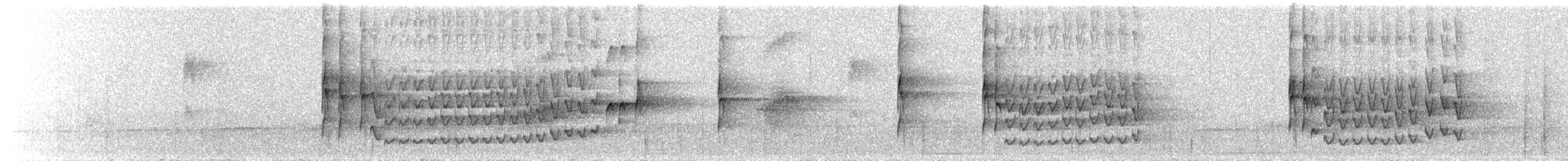 Sclérure à poitrine rousse - ML637829253