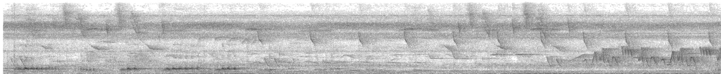 Ibis vert - ML637829897