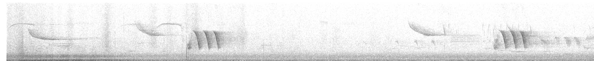 tanımsız Passeriformes sp. - ML637830269