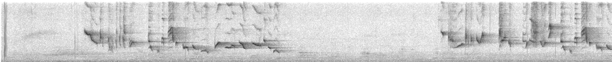 Curruca Capirotada - ML637831169