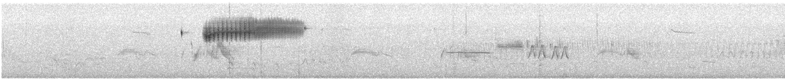 Chingolo Saltamontes - ML637831212