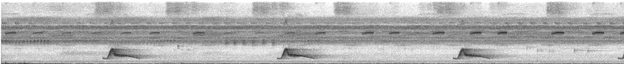 pauraquenattravn - ML637832542