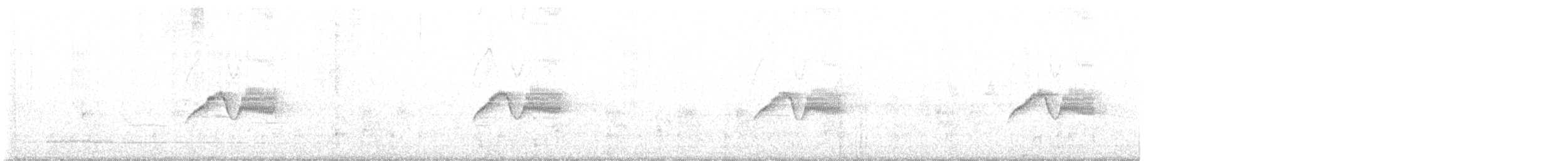 Weißbauch-Phoebetyrann - ML637832699