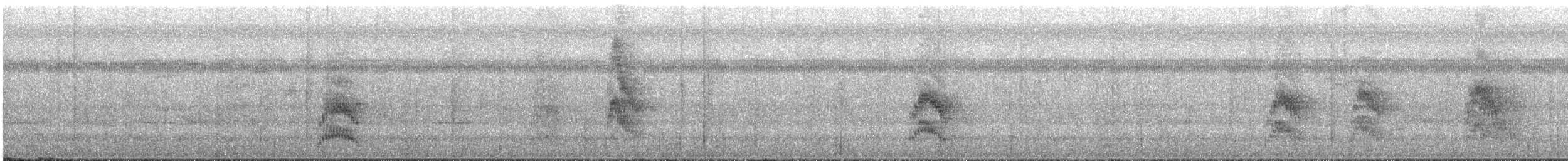 White-collared Manakin - ML637833711