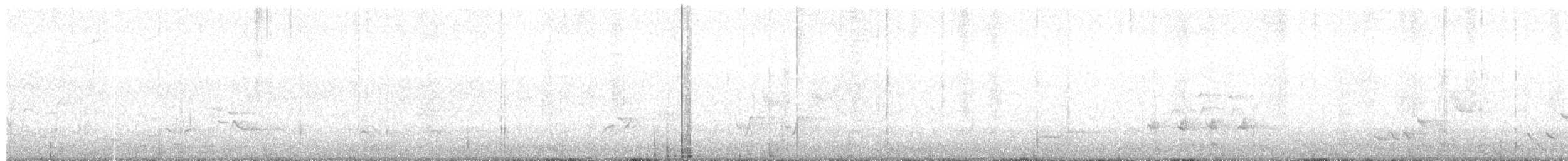 mimid sp. - ML637834193