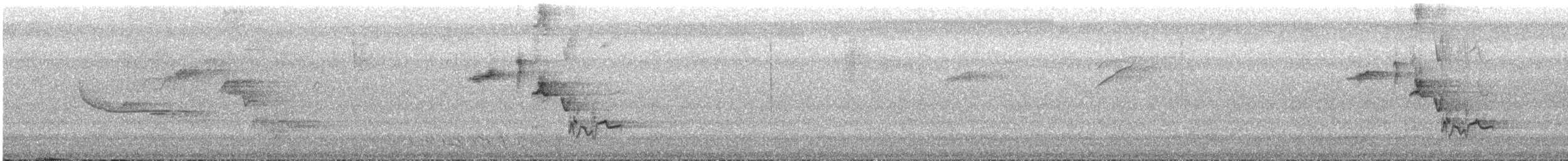 brunstrupesaltator - ML637834205