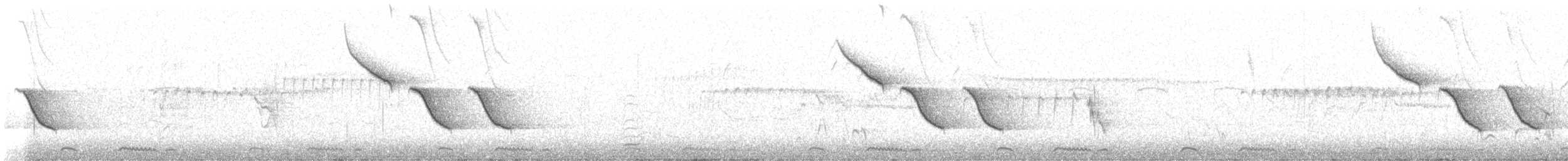 Southern Black-Flycatcher - ML637834485