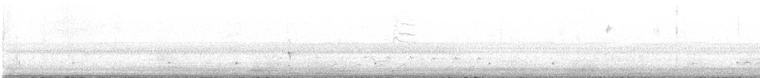 Ash-throated Flycatcher - ML637835854