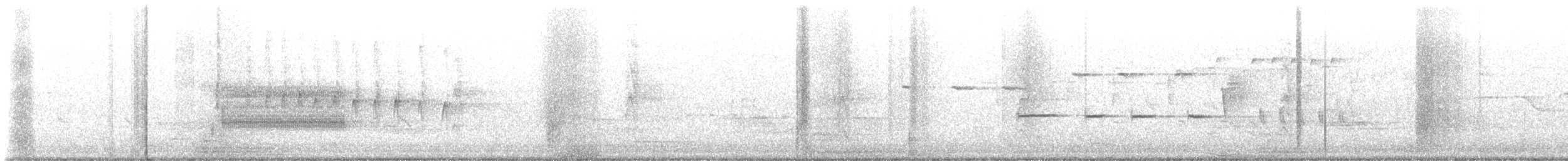 crow sp. - ML637836882