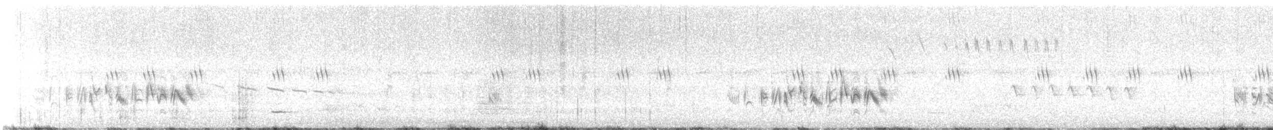 Bell Vireosu - ML637837956