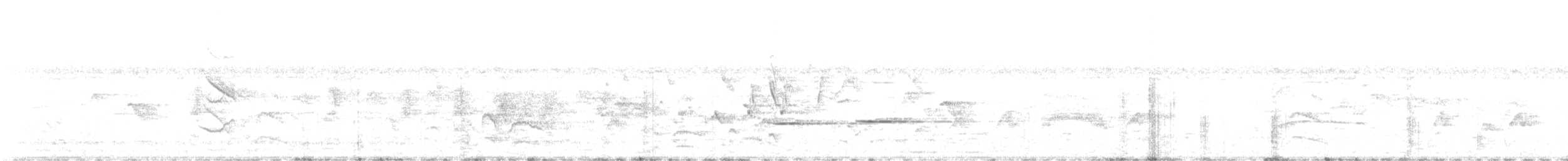 Géocoucou tacheté - ML637838903