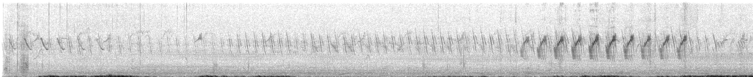 Water Pipit - ML637839803