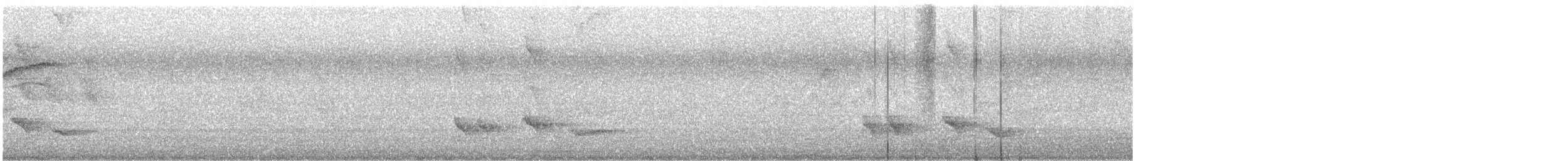 Tropical Mockingbird - ML637841539