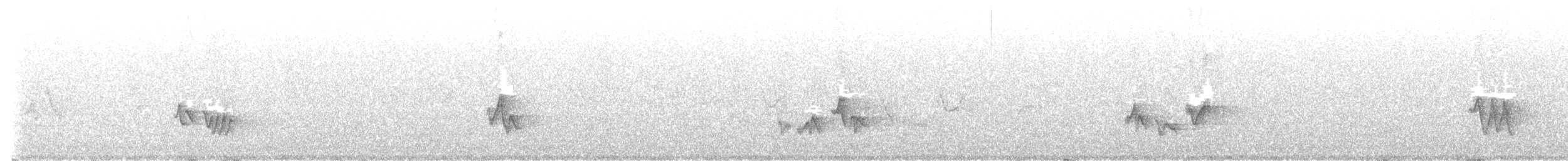 zelenáček červenooký - ML637842169