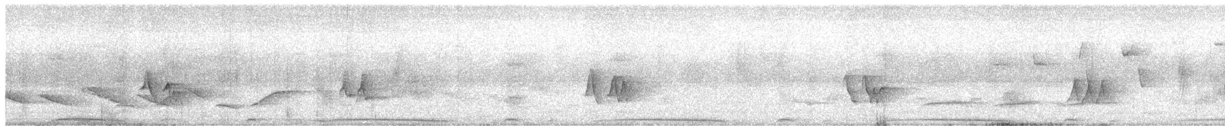 Pale-vented Pigeon - ML637842291