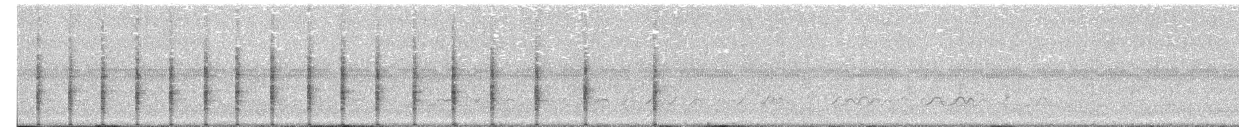 Clapper Rail (Atlantic Coast) - ML637843970