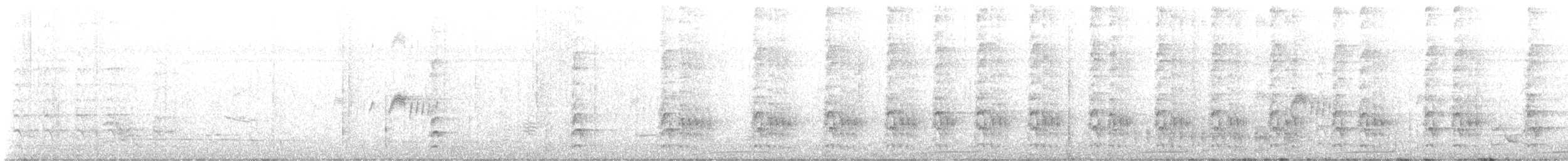 datel portorický - ML637844087