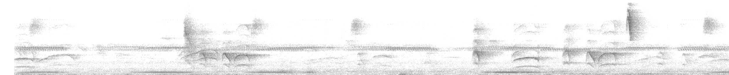 Gray-fronted Dove - ML637844611