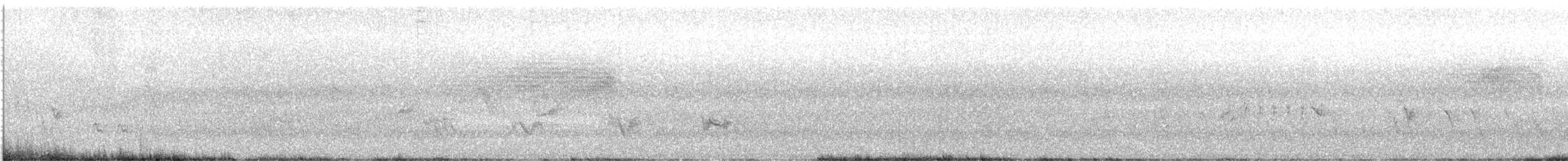 Cassin's Finch - ML637845414