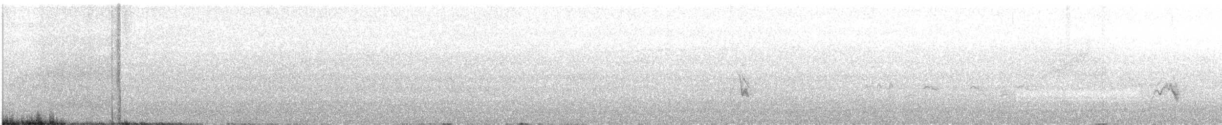 Cassin's Finch - ML637845415