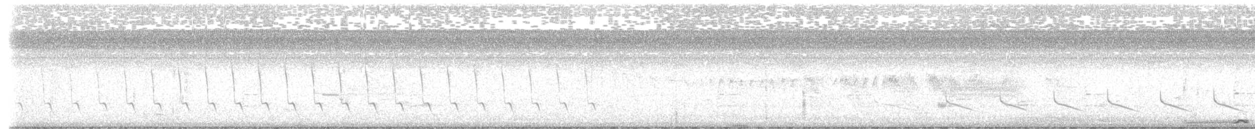 ハジロバト - ML637846625