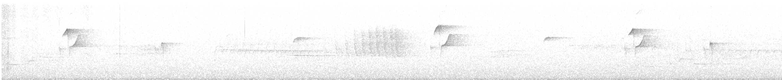 Western Flycatcher - ML637847272