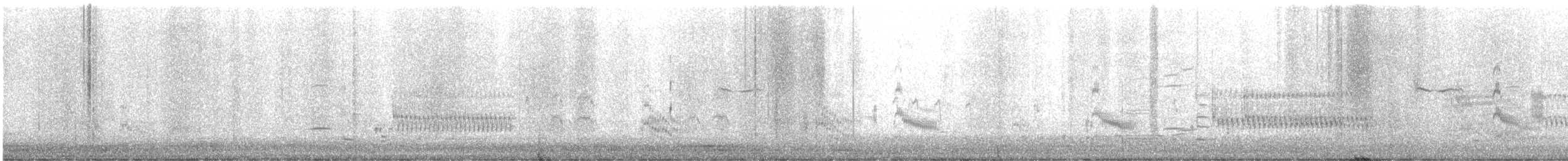 Forster's Tern - ML637847309