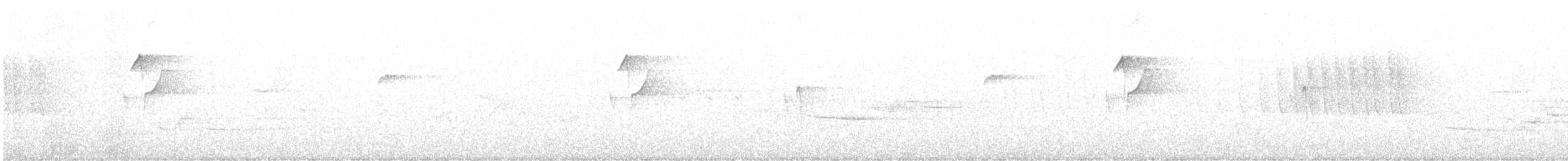 Western Flycatcher - ML637847505