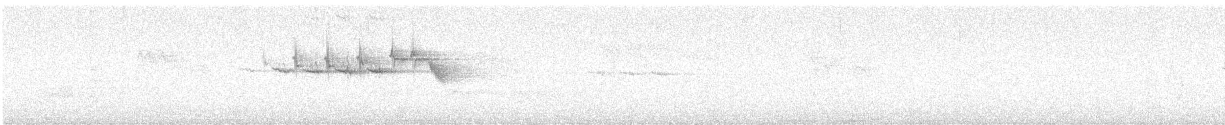 Hermit Warbler - ML637848496