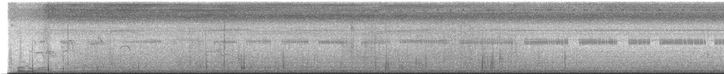 vireo sp. - ML637850855