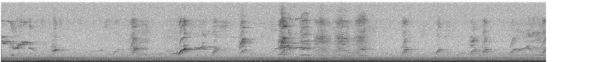 Méliphage à oreillons bleus - ML637853264