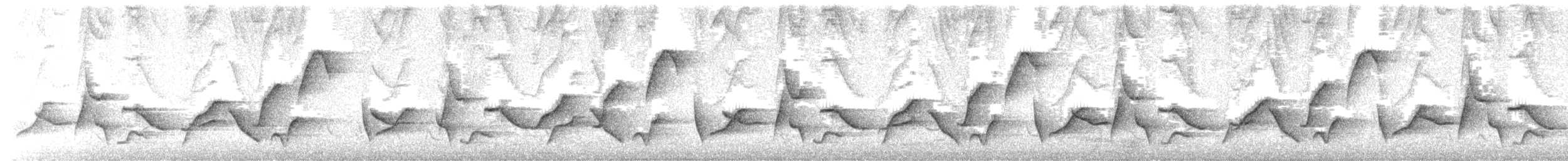 Inkazaunkönig - ML637853716