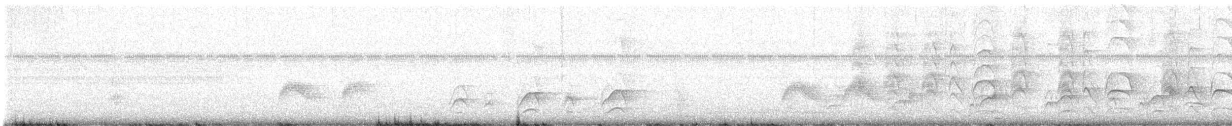 Mangrove Vireo - ML637855039