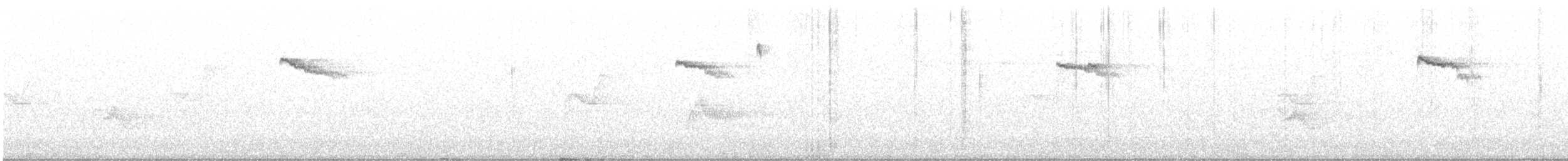 Brown Creeper - ML637858496