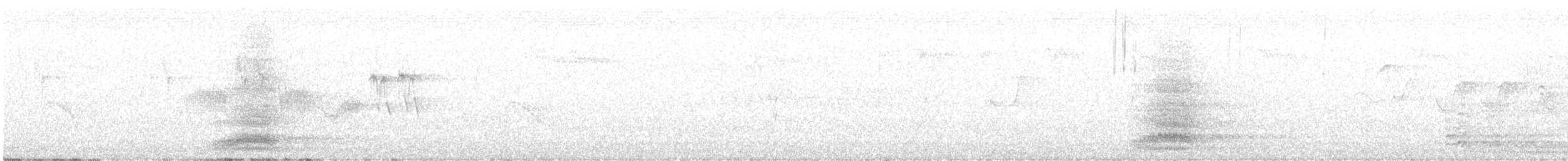 Common Raven - ML637859233