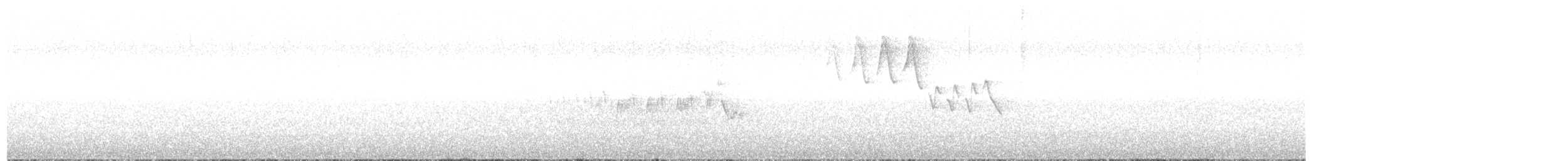 Setophaga sp. - ML637860295
