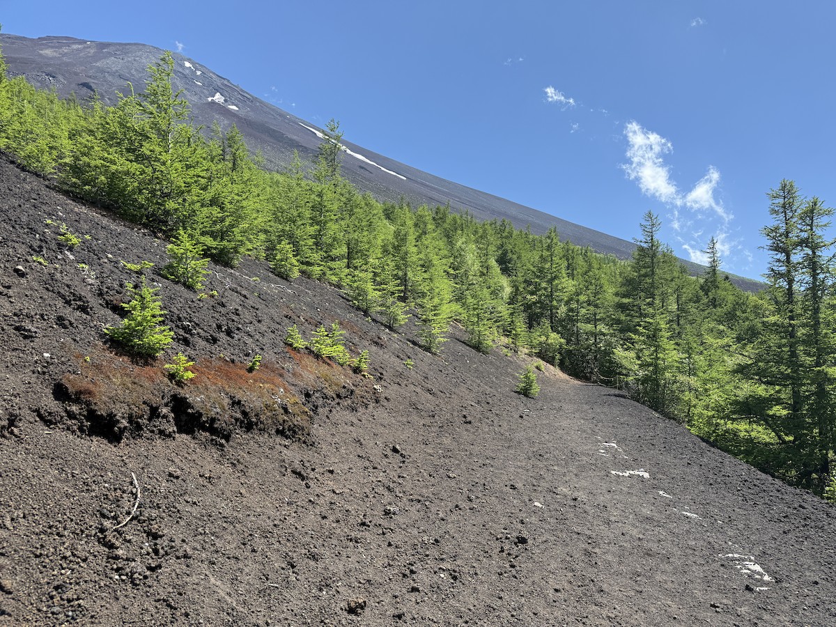 null - ML637860790