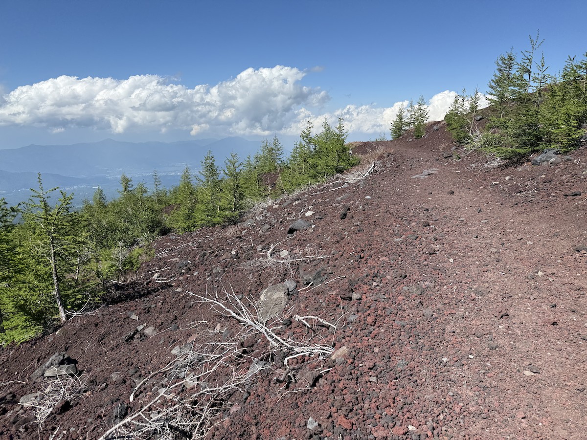 null - ML637860794